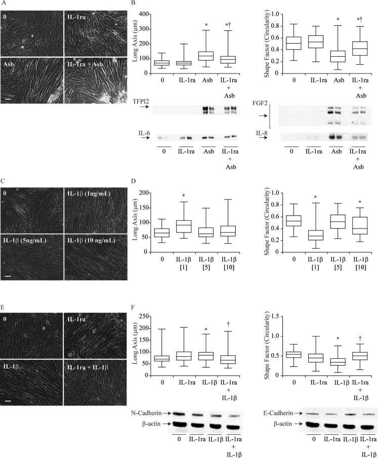 Supplemental Figure S1