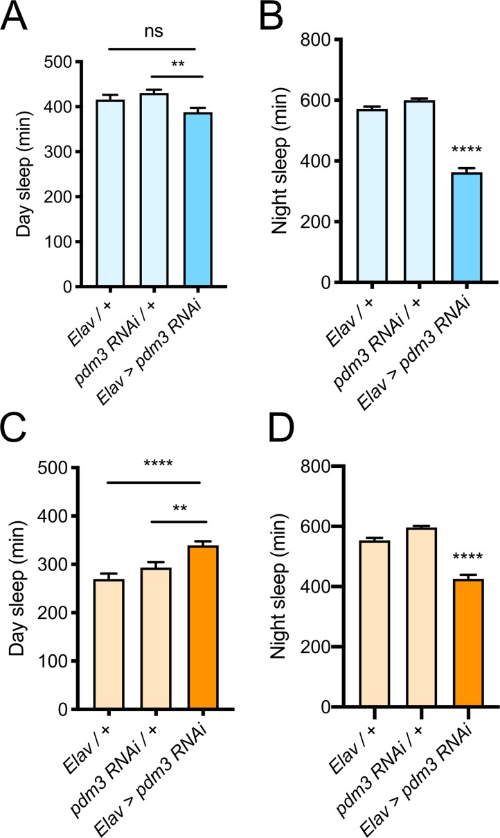 Figure 2—figure supplement 2.