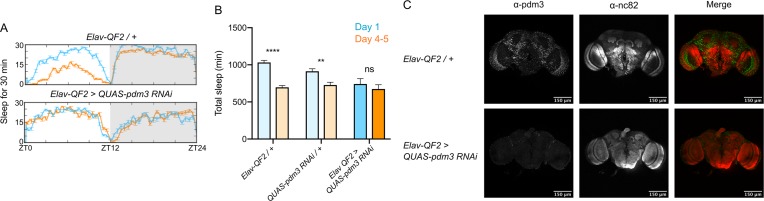 Figure 4—figure supplement 2.