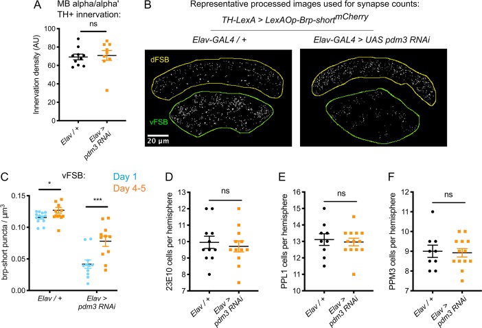 Figure 4—figure supplement 1.