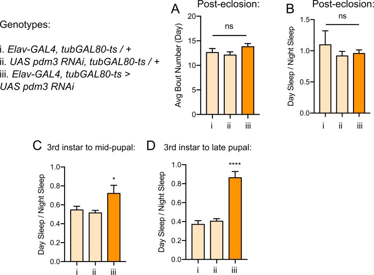 Figure 3—figure supplement 1.