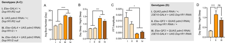 Figure 5—figure supplement 1.