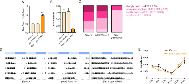 Figure 2—figure supplement 1.