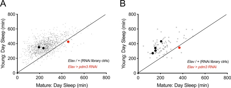 Figure 1—figure supplement 1.