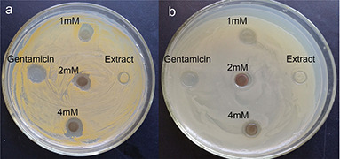 Fig. 9