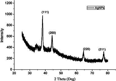 Fig. 8