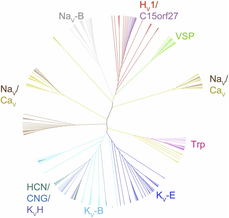 Figure 2.