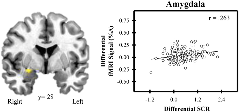 Fig. (2).