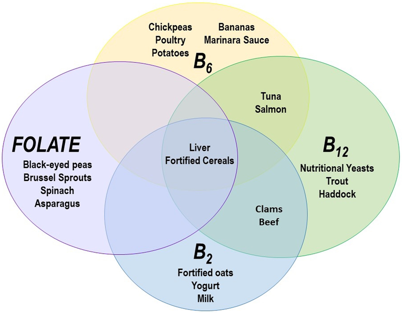 Fig 3.