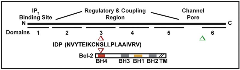 Figure 3.