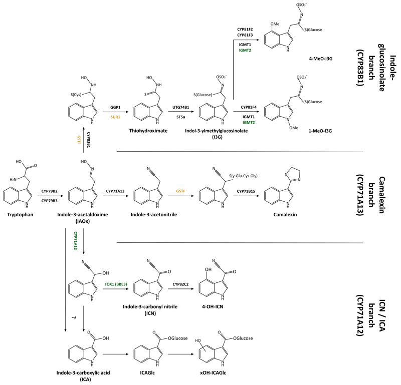 Extended Data Figure 7