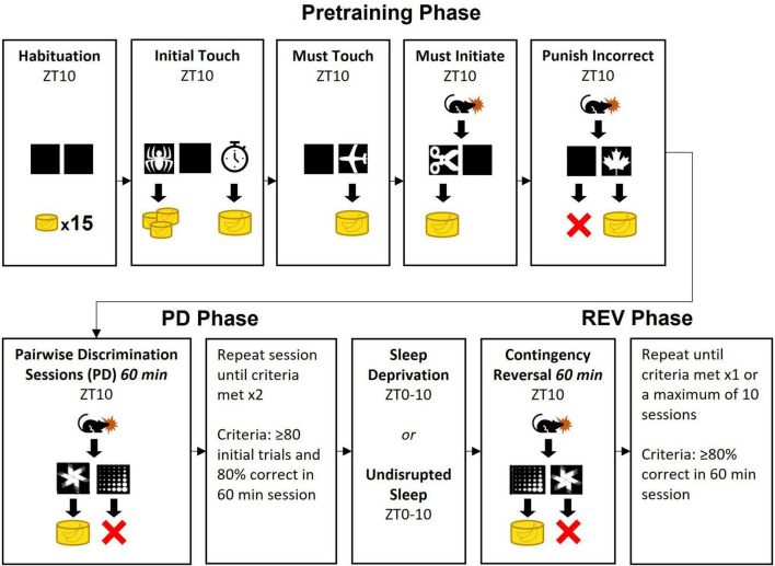 FIGURE 1