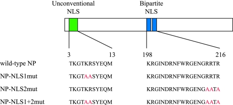 FIG. 1.