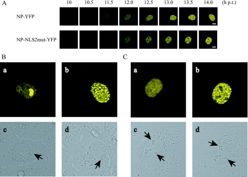 FIG. 3.