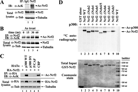 FIG. 1.