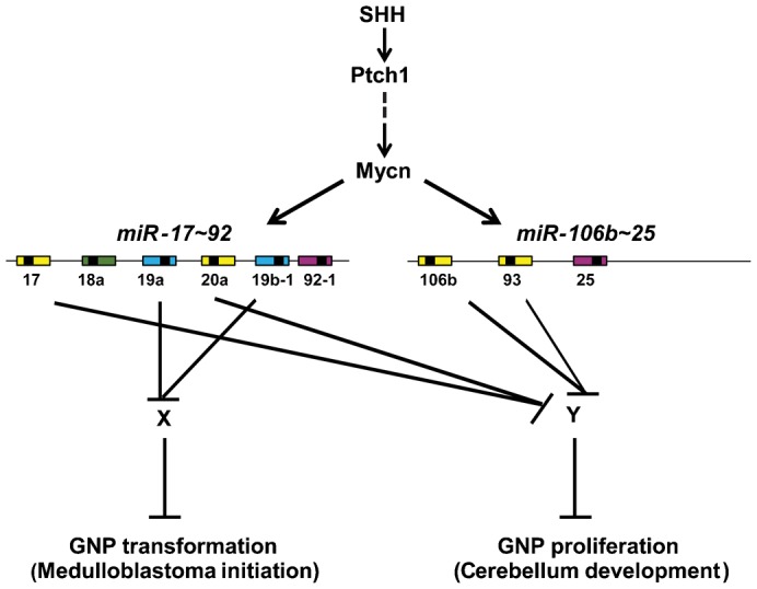 Fig. 10.