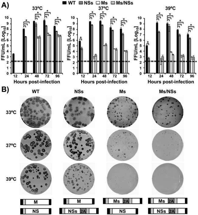 FIG 3