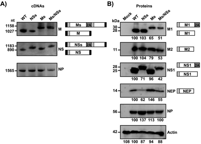 FIG 2