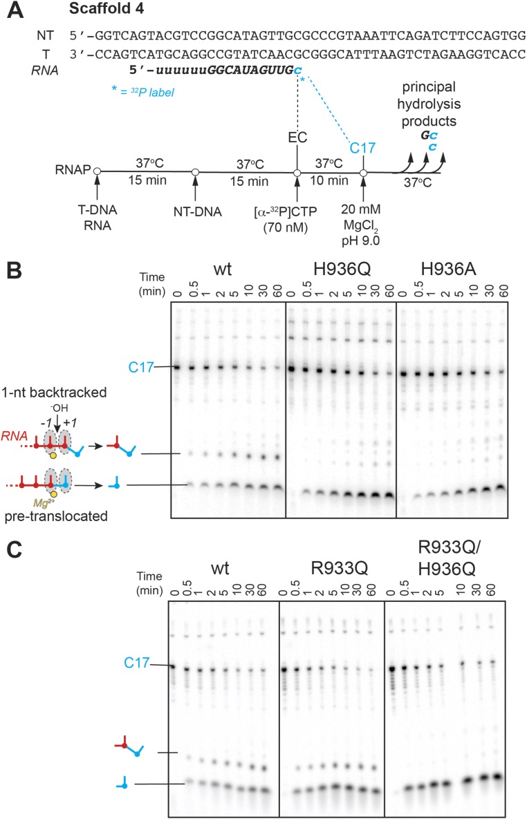 Fig. S3.