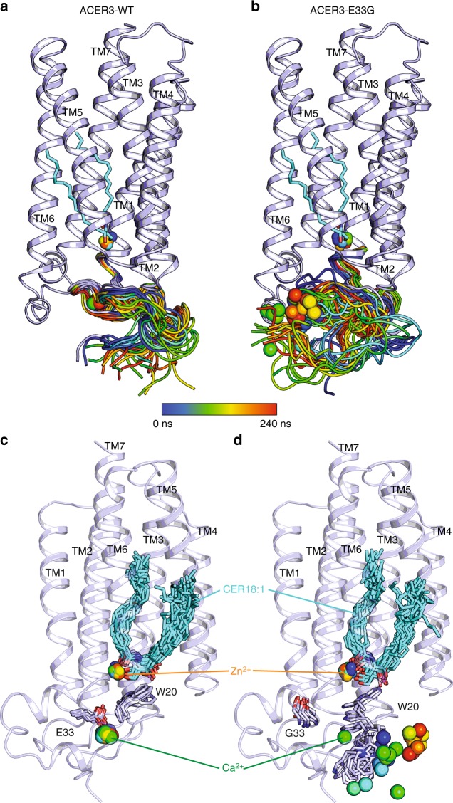 Fig. 6