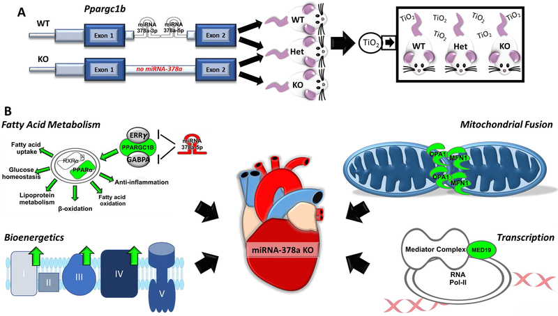 Figure 6: