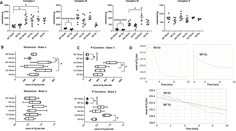 Figure 4: