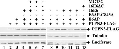 FIG. 5.