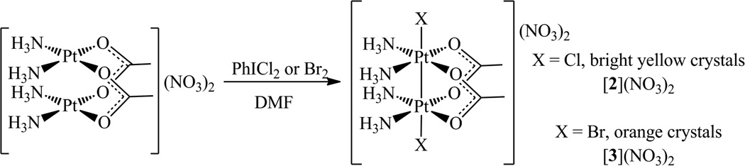 Scheme 2