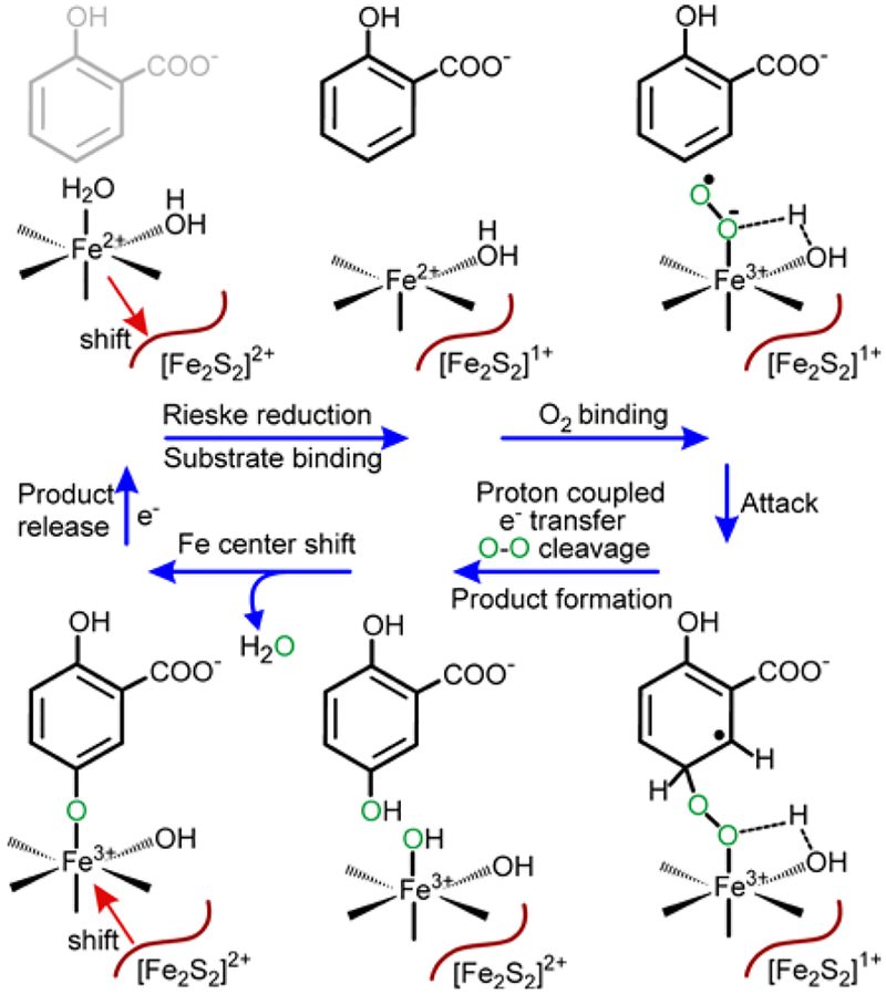 Scheme 4.