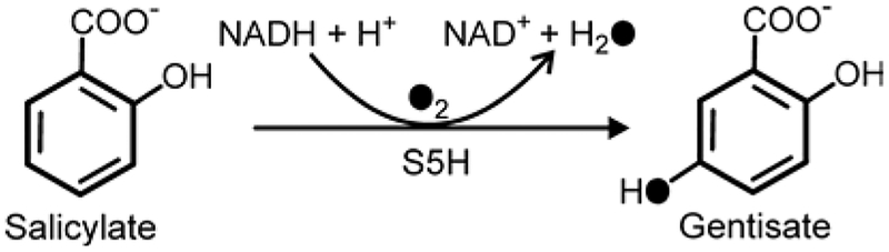 Scheme 3: