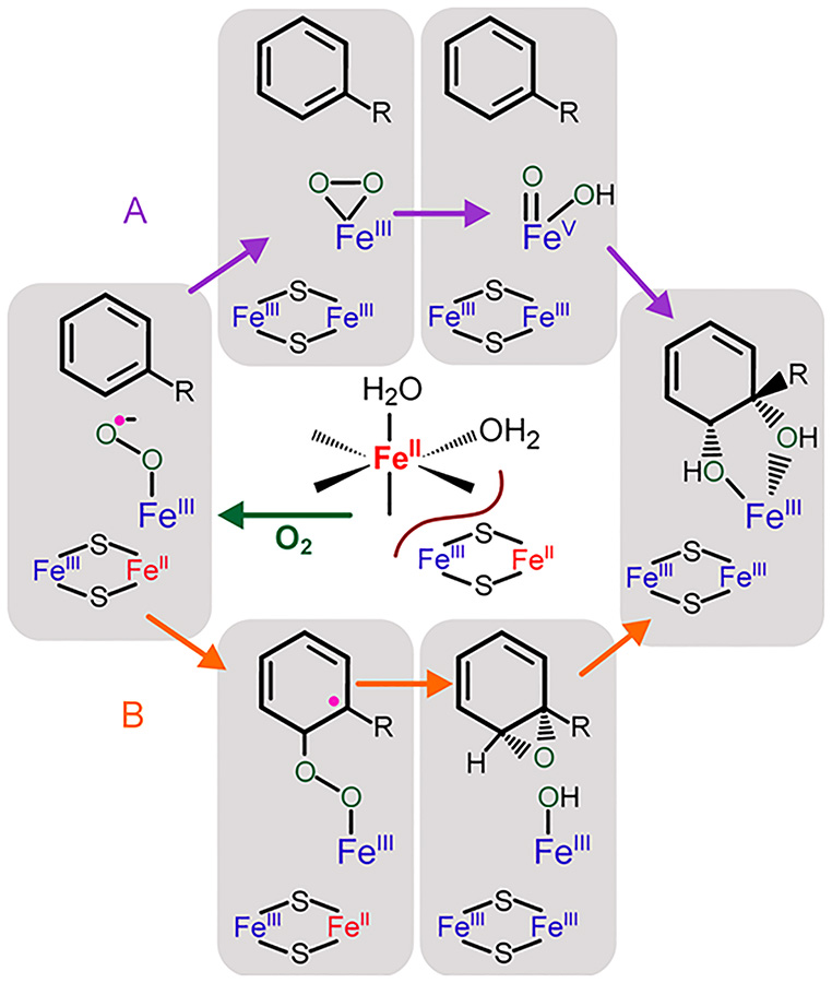 Scheme 2.