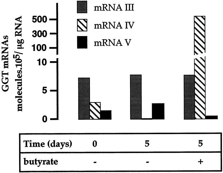 Figure 10.