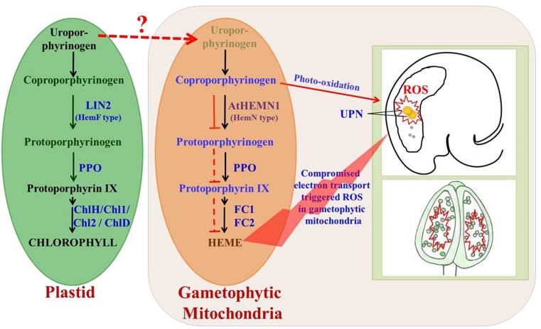 Figure 11.