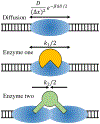 FIG. 1.