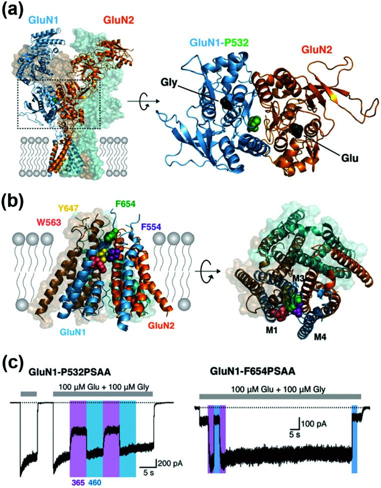 Fig. 11