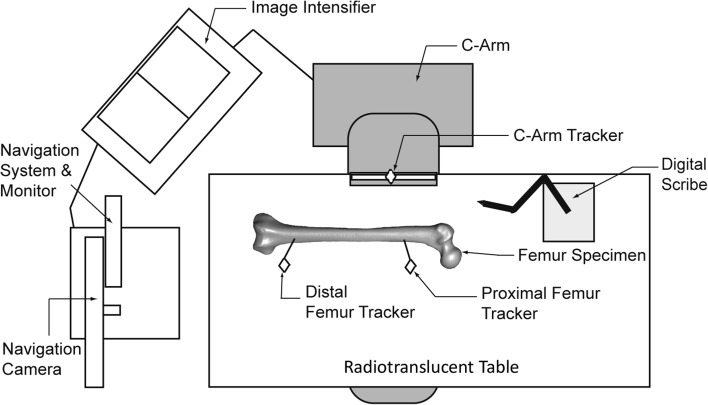 Fig. 1