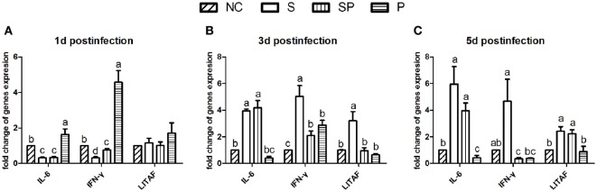 Figure 5