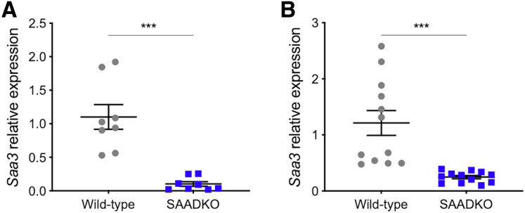 Figure 7