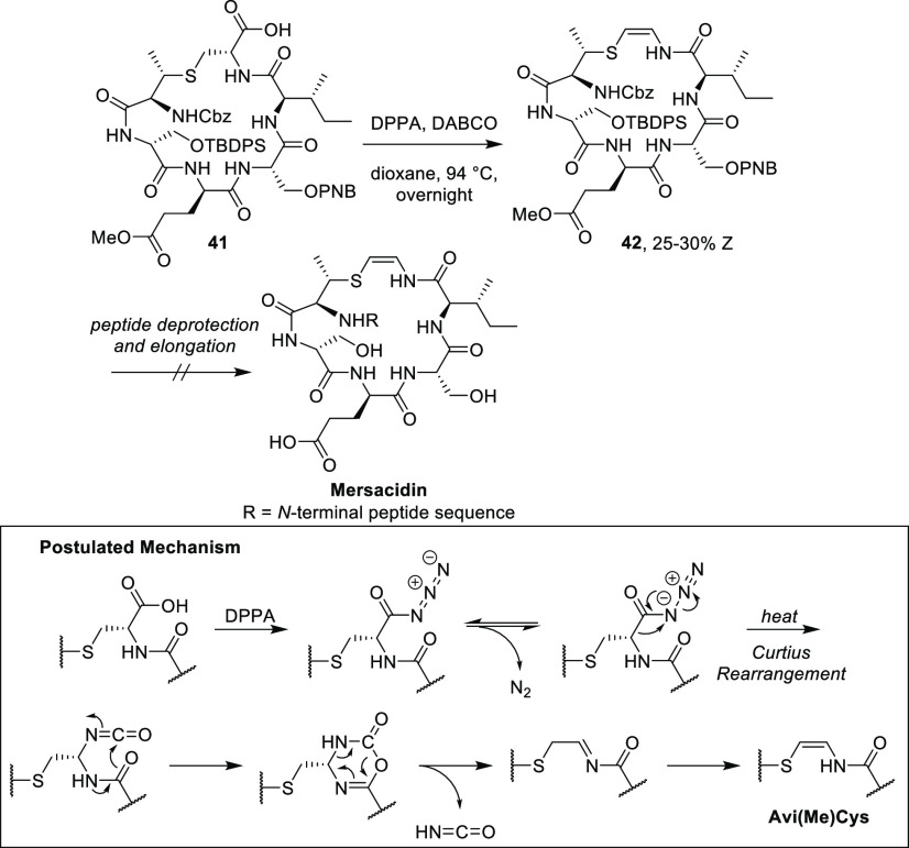 Scheme 7