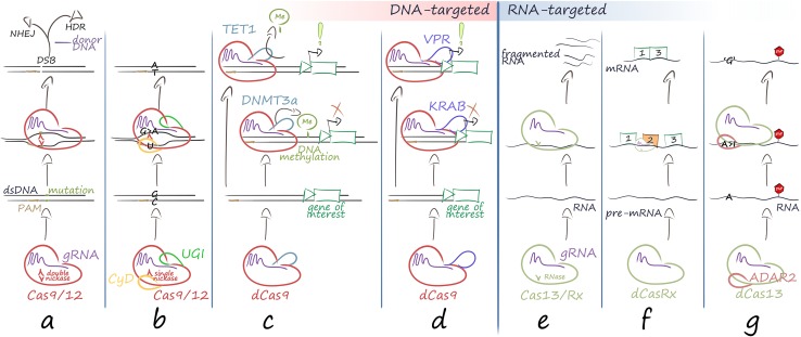 Fig. 2