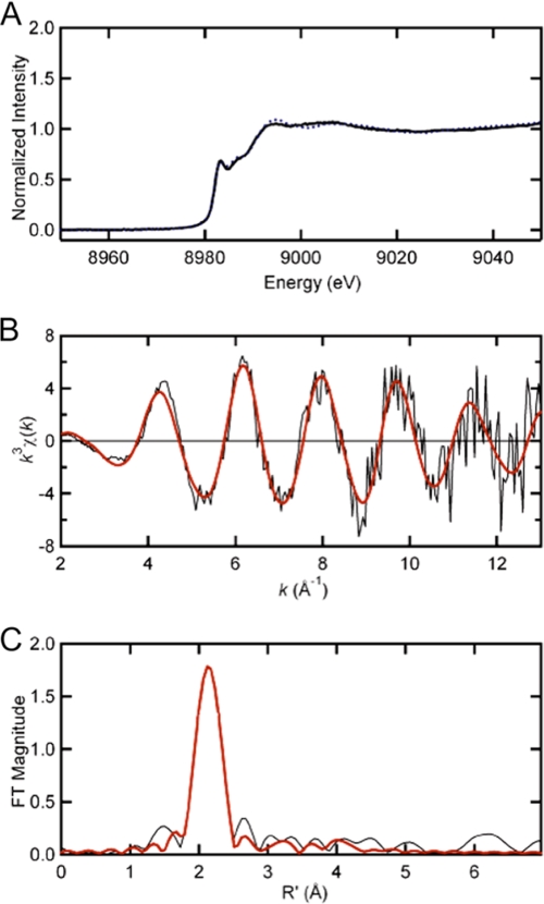 FIGURE 2.