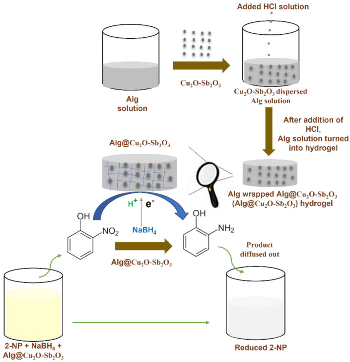 Scheme 1