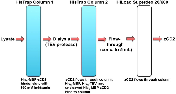 Figure 2.