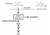 Fig. (4)