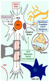 Fig. (6)