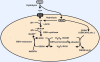 Fig. (2)