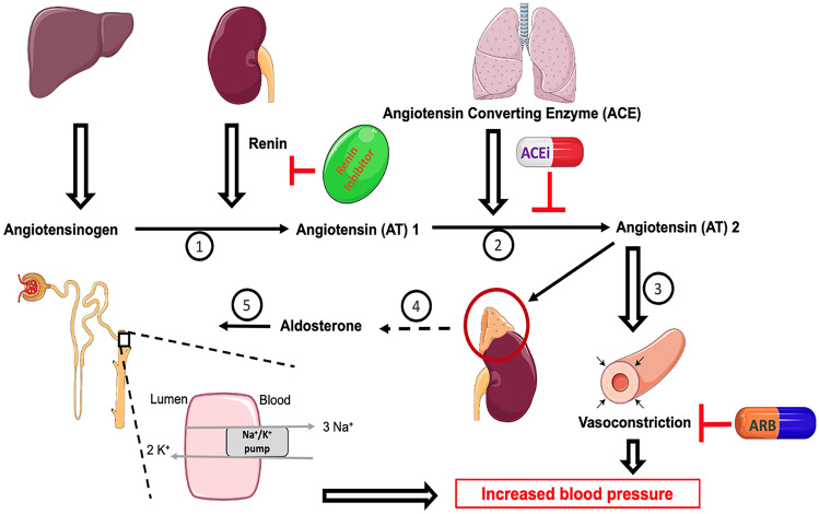 Fig. 1