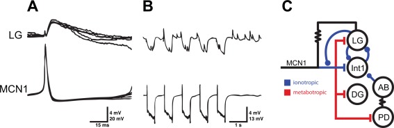 Figure 6