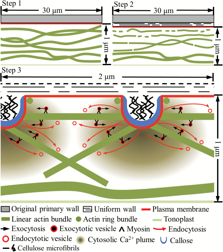 Fig. 7.