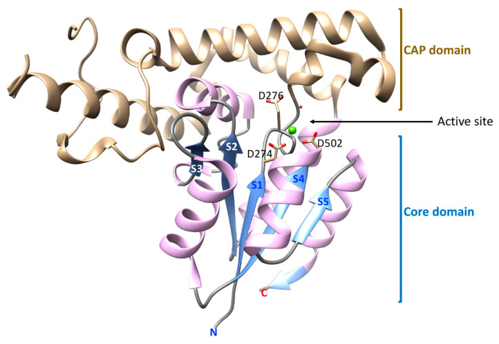 Figure 3